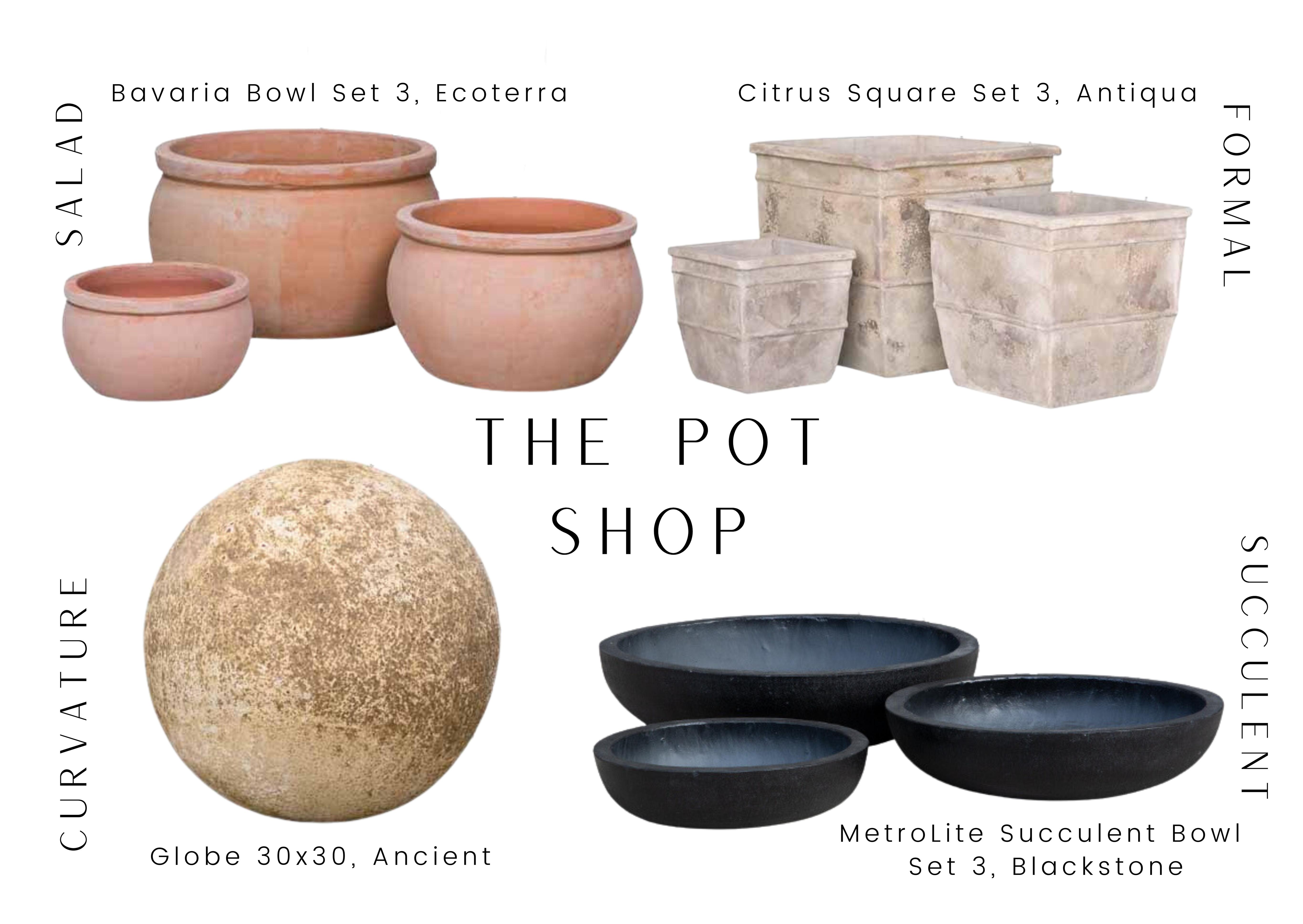 Page 6 Pot Shop